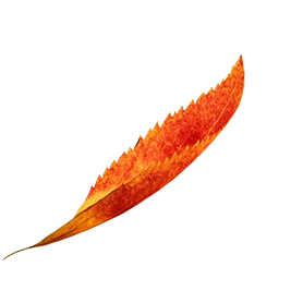 leaf-4@2x